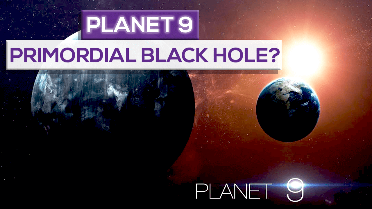 Is planet 9 a primordial black hole?